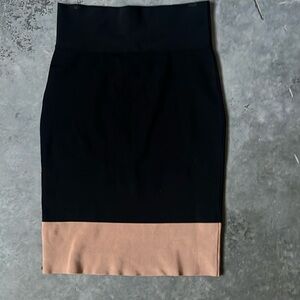 Express Pencil Skirt